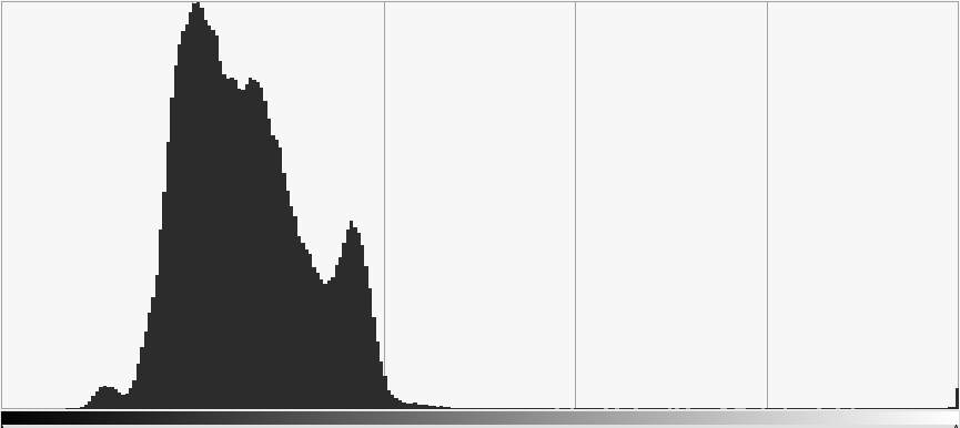 Luminance frequency diagram of image, notice a small peak from reflective marker all the way on the right.