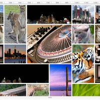 Wide screen auto layout image grid