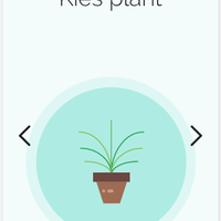 Watering system mobile app plant type selection interface.